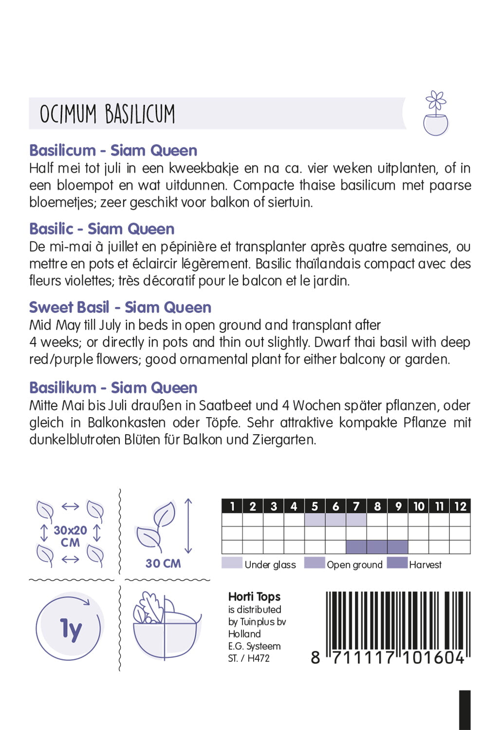 Basilic doux - Siam Queen - 0,2g