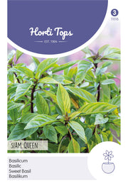 Basilic doux - Siam Queen - 0,2g