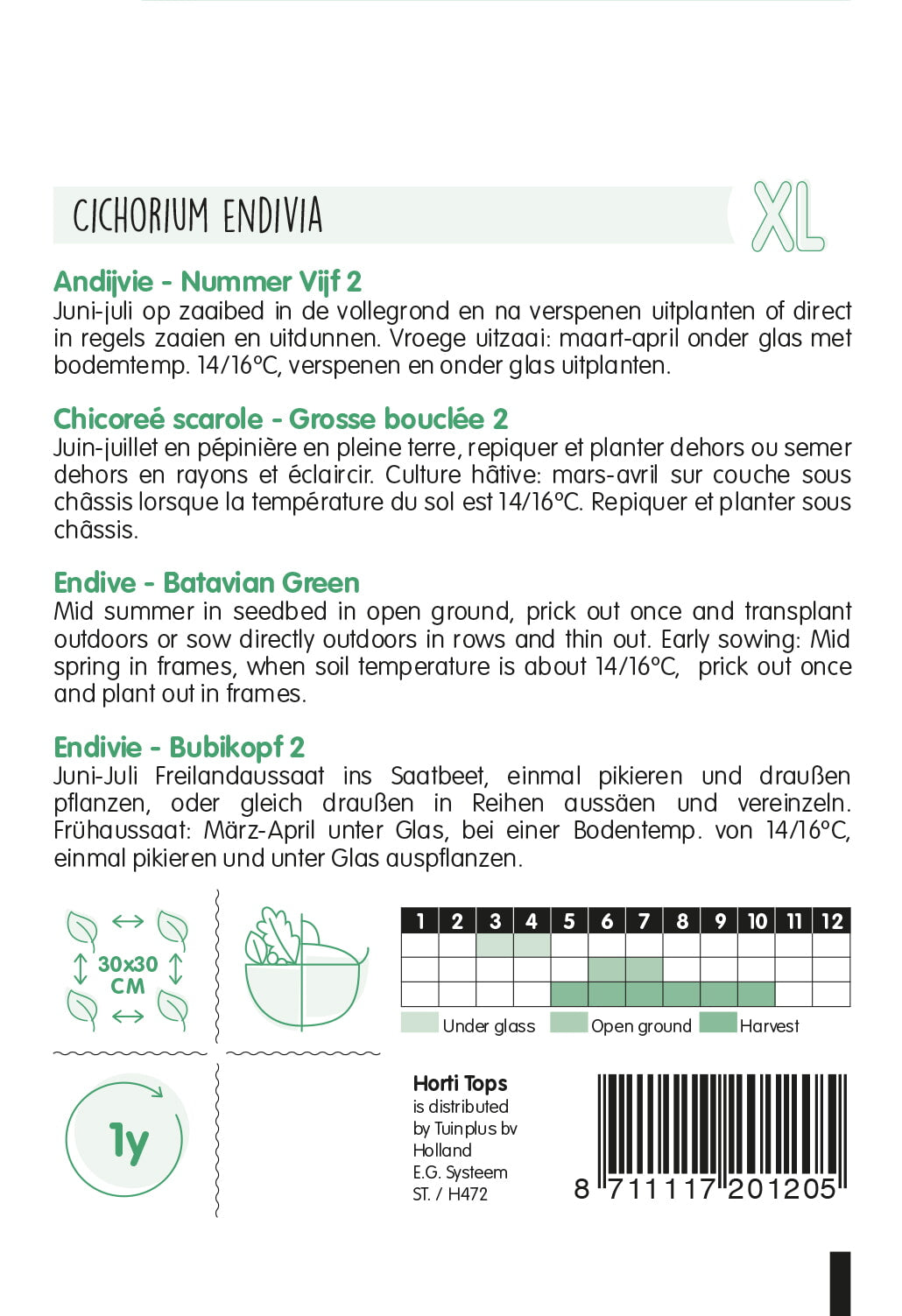 Endive - Number Five 2 - 3g