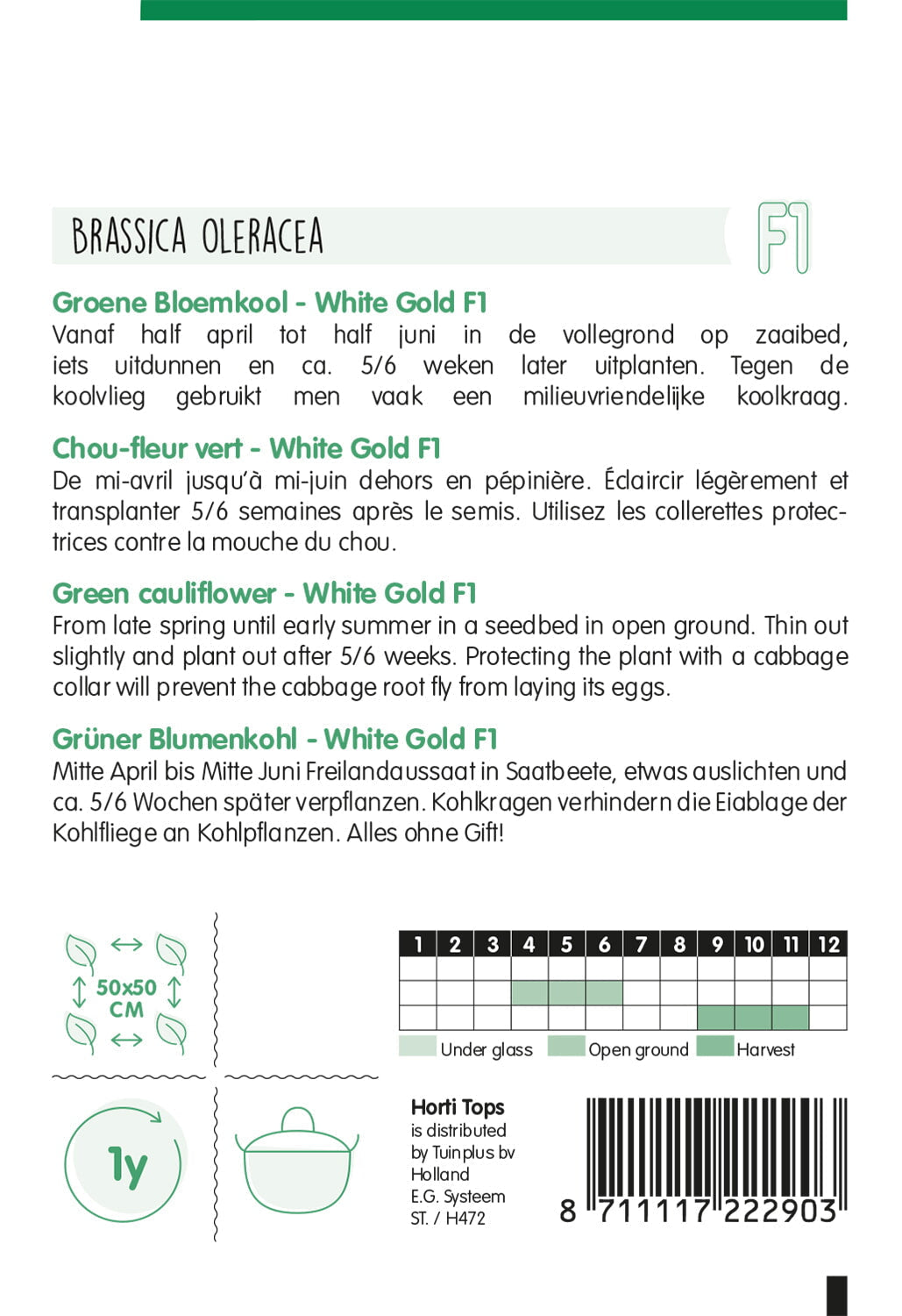 Green Cauliflower - White Gold F1 - 30 Seeds