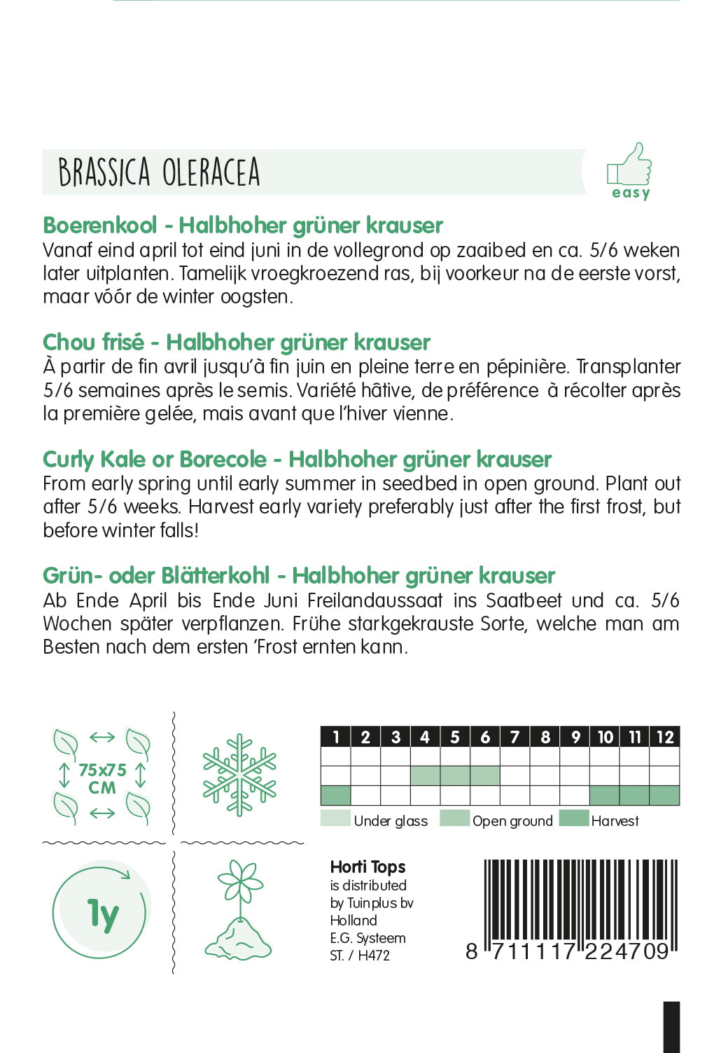 Kale frisé - Grüner Krauser - 3g