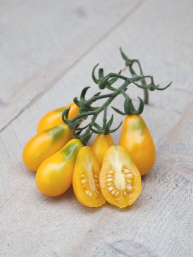 Tomato - Yellow Pearshaped - 0,5g