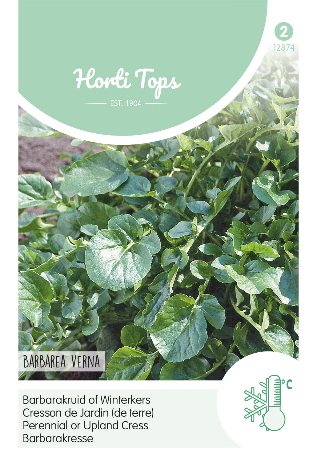 Upland Cress - 3g