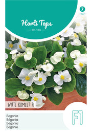 Begonia - Witte Komeet F1 - 700 Zaden