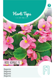 Begonia - Roze Komeet F1 - 700 Zaden