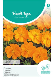 Cosmea - Sunset  - 1g