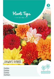 Dahlia - Hybrides d'Unwin - 0,75g