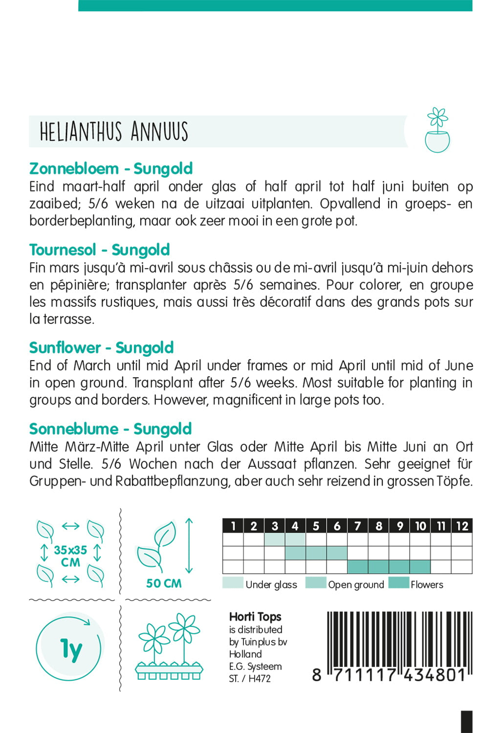 Sonnenblume - Sungold - 2g
