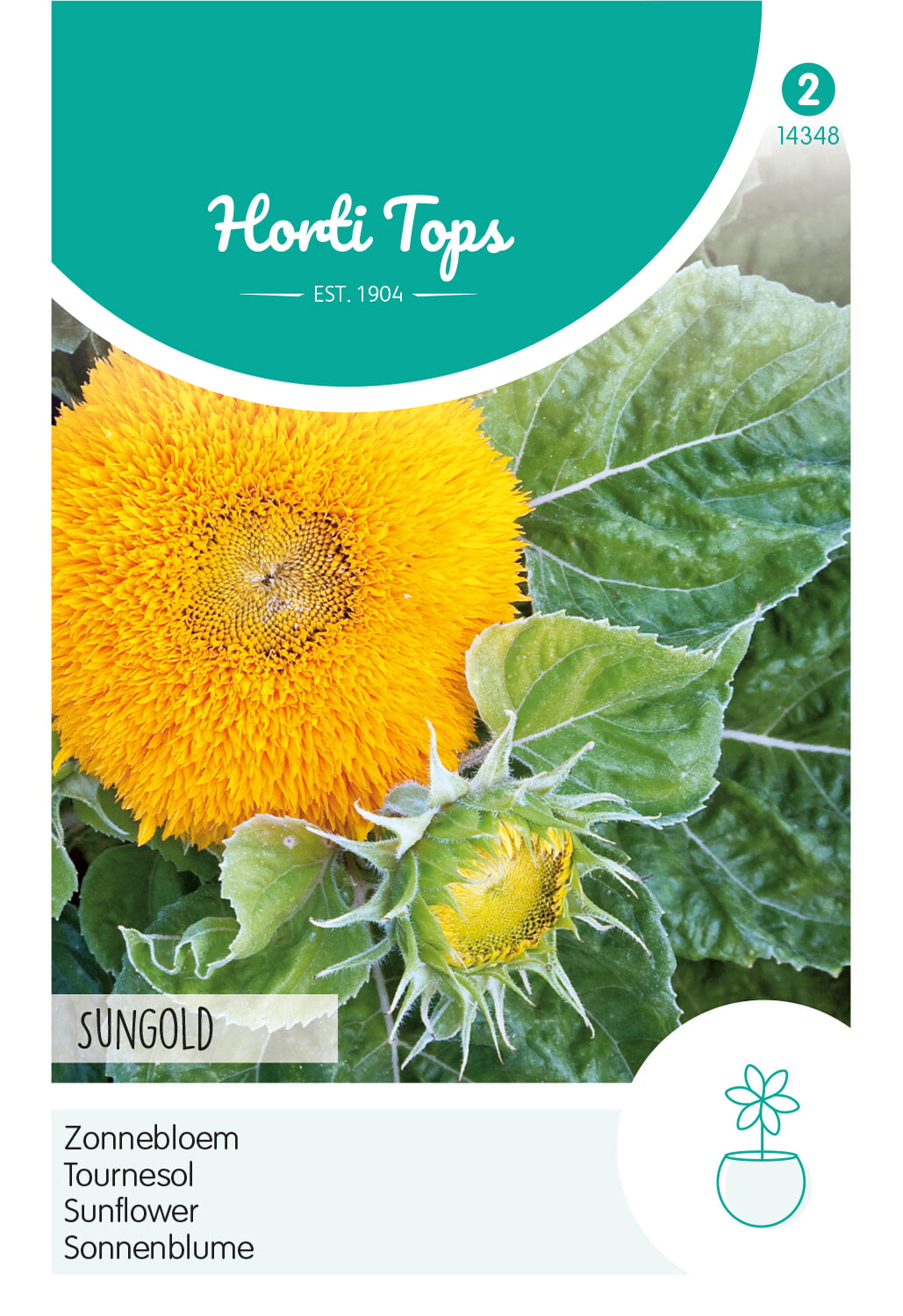 Sonnenblume - Sungold - 2g