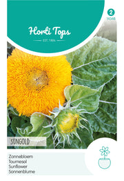 Tournesol - Sungold - 2g