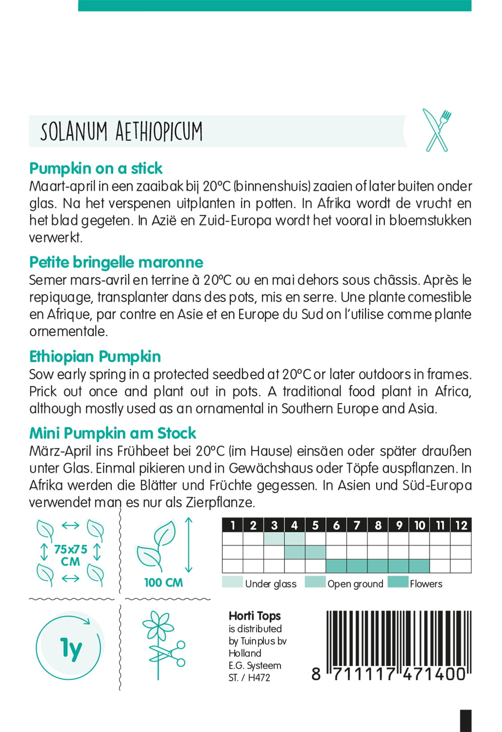 Pumpkin on a Stick - 15 Zaden