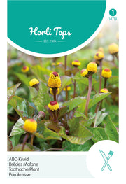 Toothache Plant - 0,08g