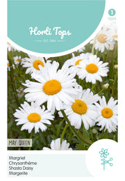 Shasta Daisy - May Queen - 0,75g