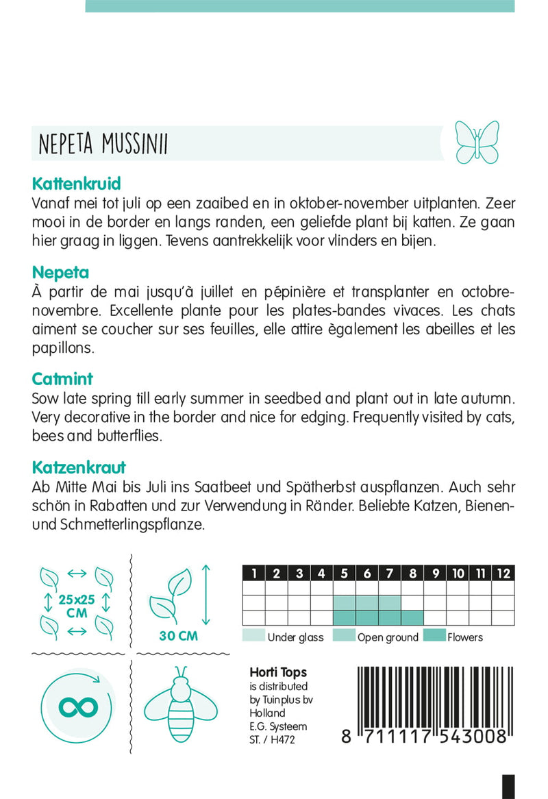 Catmint - Nepeta - 0,25g