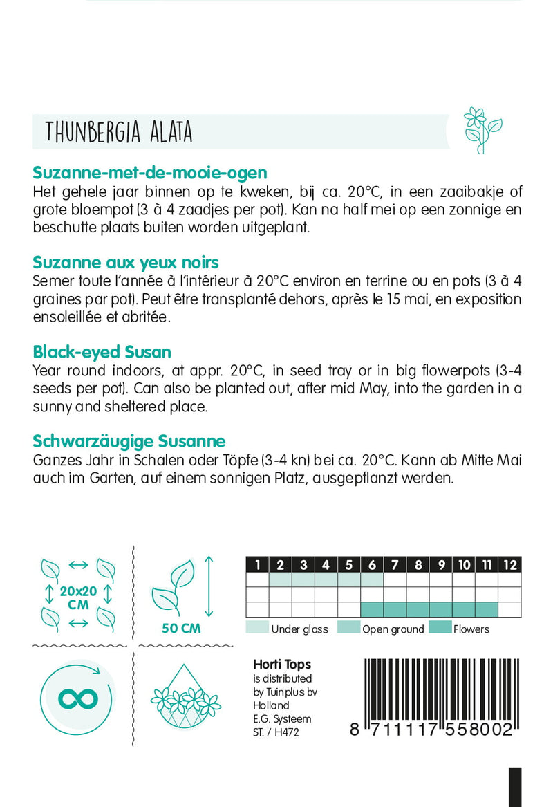 Black Eyed Susan - Yellow - 0,5g