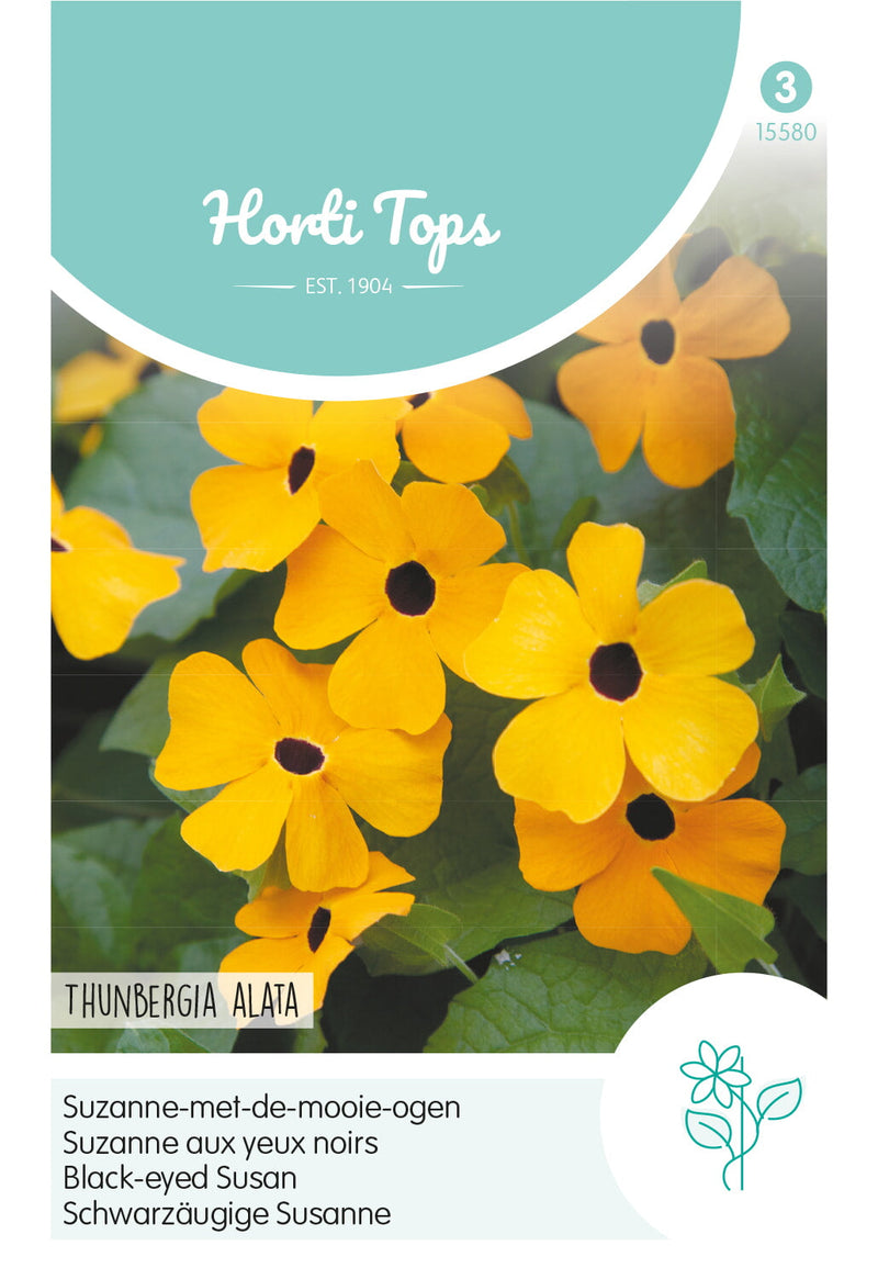Black Eyed Susan - Yellow - 0,5g