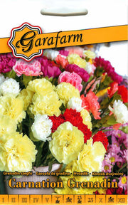 Œillet - Grenadin - 0,5g