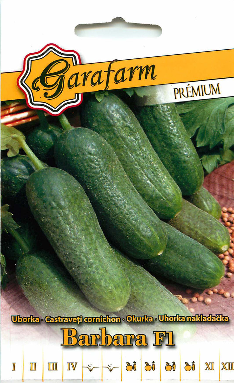 Cucumber - Barbara F1 - 1g