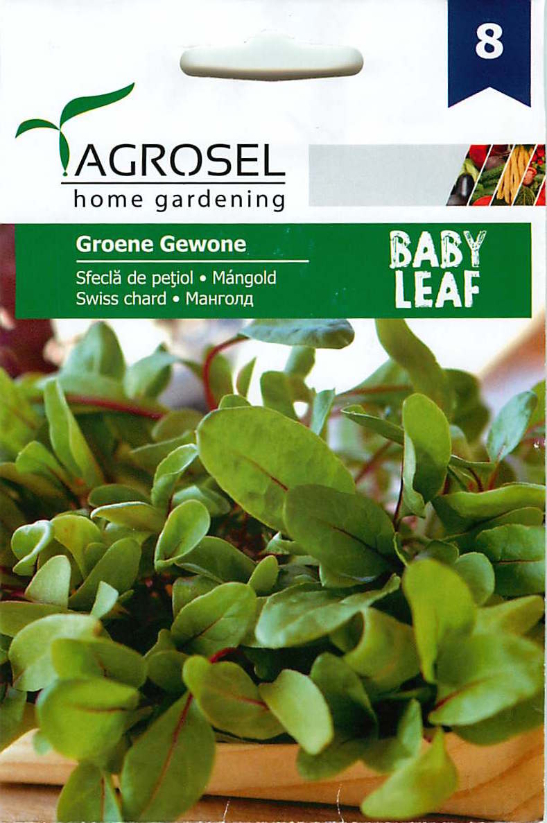 Zwitserse Snijbiet - Babyblad - Groene Gewone - 4g