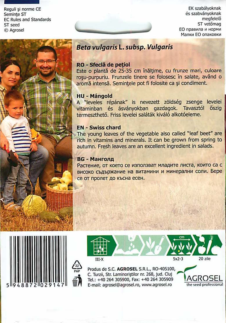 Zwitserse Snijbiet - Babyblad - Groene Gewone - 4g