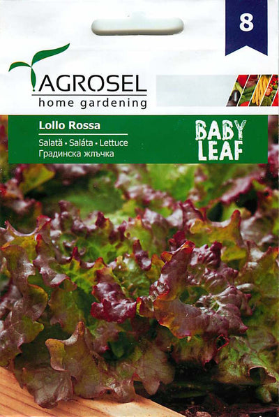 Saláta - Baby Leaf - Lollo Rossa - 5g