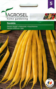 Haricot nain - Sondela - 30g