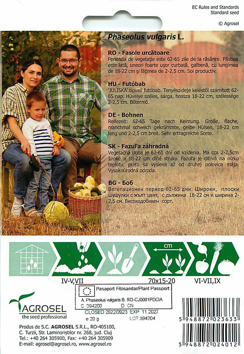 Haricot grimpant - Ecaterina - 20g
