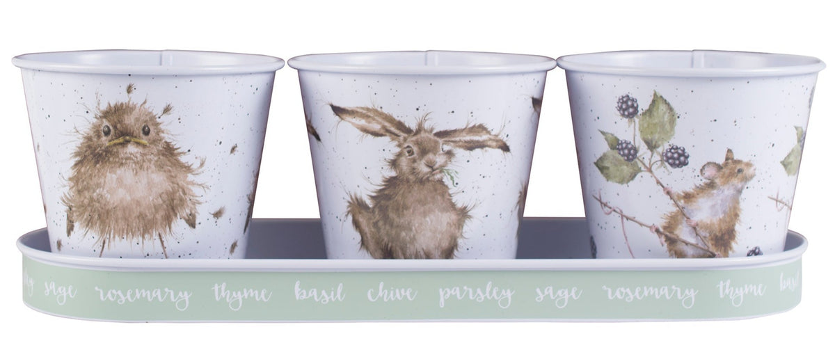Set of 3 Herb Pots with Tray - Mouse-2