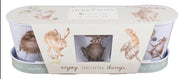 Set of 3 Herb Pots with Tray - Mouse