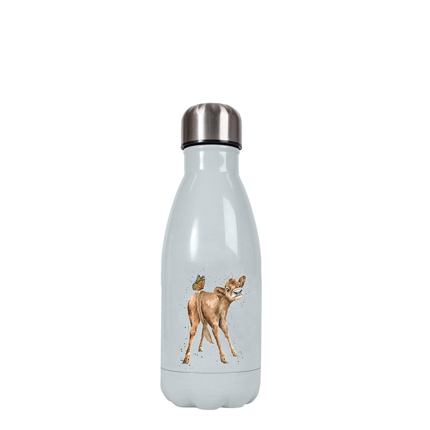 Water Bottle  - Cow - Daisy Cow-3