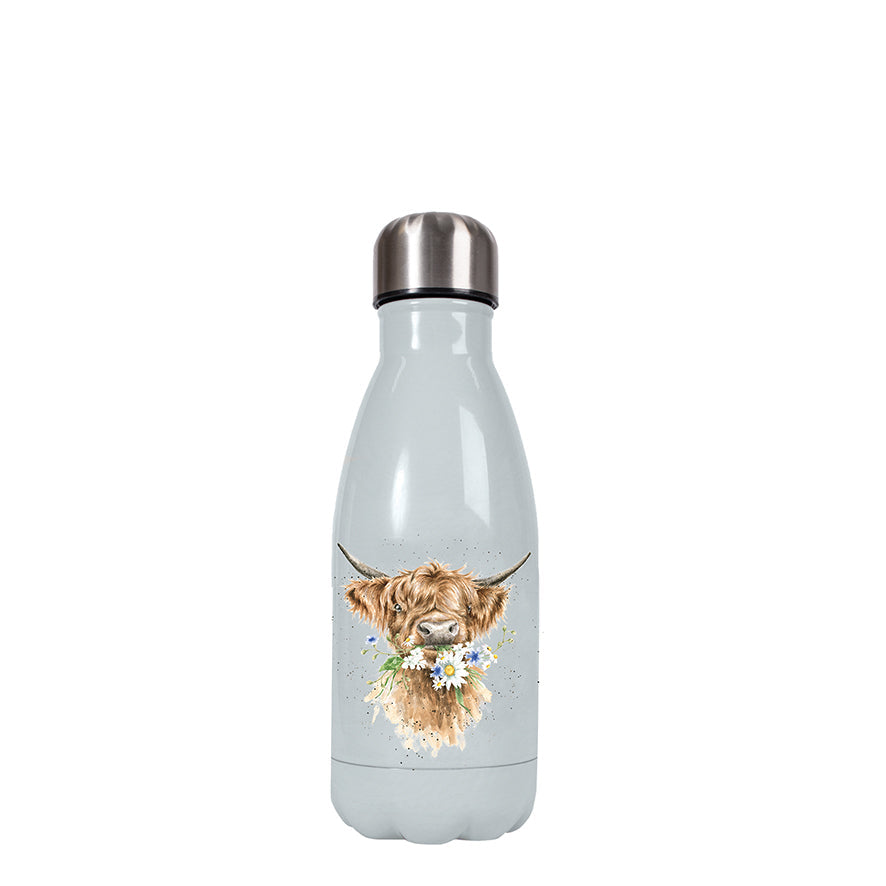 Water Bottle  - Cow - Daisy Cow-4